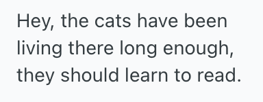 Screenshot 2025 05 26 at 2.26.25 PM House Sitter Was Tormented By Two Cats, So He Got Petty Revenge In The Most Hilarious Way
